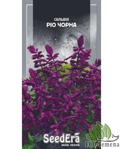 Семена Сальвия Рио черная SeedEra 0,2 г