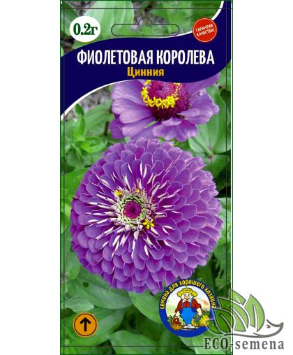 Циния Фиолетовая Королева 0.2 г