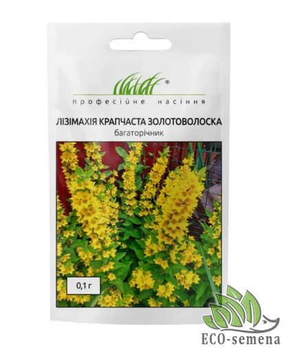 Лизимахия точечная Золотоволоска Профессиональные семена 0,1 г