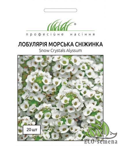 Семена Лобулярия (Алиссум) Снежинка Профессиональные семена 20 шт Семена Лобулярия (Алиссум) Снежинка Профессиональные семена 20 шт