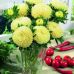 Астра Балун желтая Профессиональные семена 0,1 г