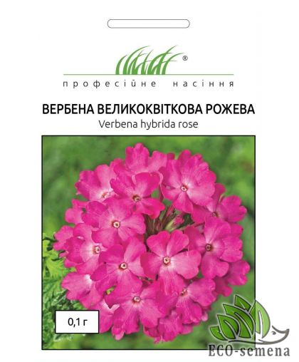 Семена Цветы Вербена Крупноцветковая розовая, 01 г