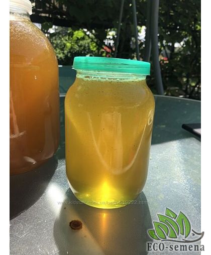 Натуральный Домашний мед (акация + разнотравье) 1л Натуральный Домашний мед (акация + разнотравье) 1л