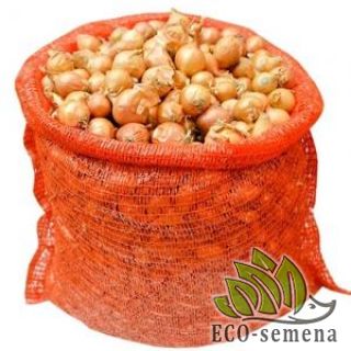 ЛУК СЕВОК и ЧЕСНОК