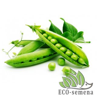 ГОРОХ УКРАИНА