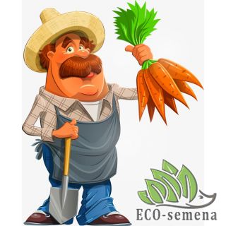 ОСЕННИЙ ПОСЕВ ОСЕННИЙ ПОСЕВ