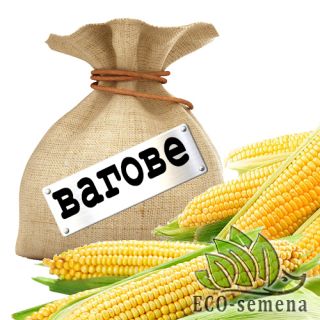 КУКУРУЗА НА РАЗВЕС