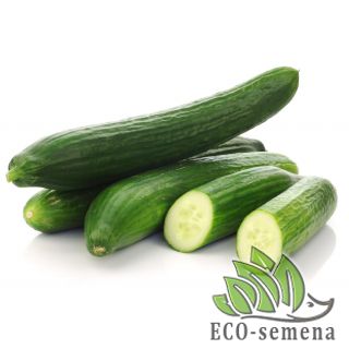 ОГУРЦЫ ДЛИННОПЛОДНЫЕ