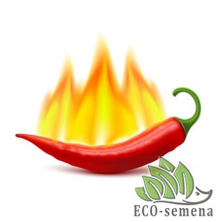 ПЕРЕЦ ОСТРЫЙ ПЕРЕЦ ОСТРЫЙ