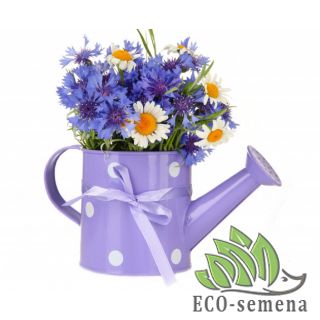 МНОГОЛЕТНИКИ