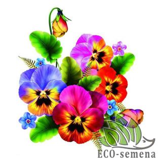 ДВУЛЕТНИКИ