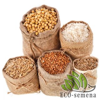 СИДЕРАТЫ и КОРМОВЫЕ травы 