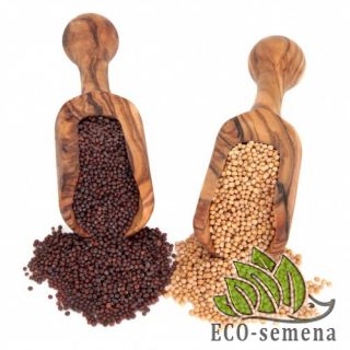 СМЕСЬ на сидерат