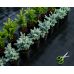 Геоткань Growtex PRO 100 г/м2 ширина 1700 мм (1 метр)