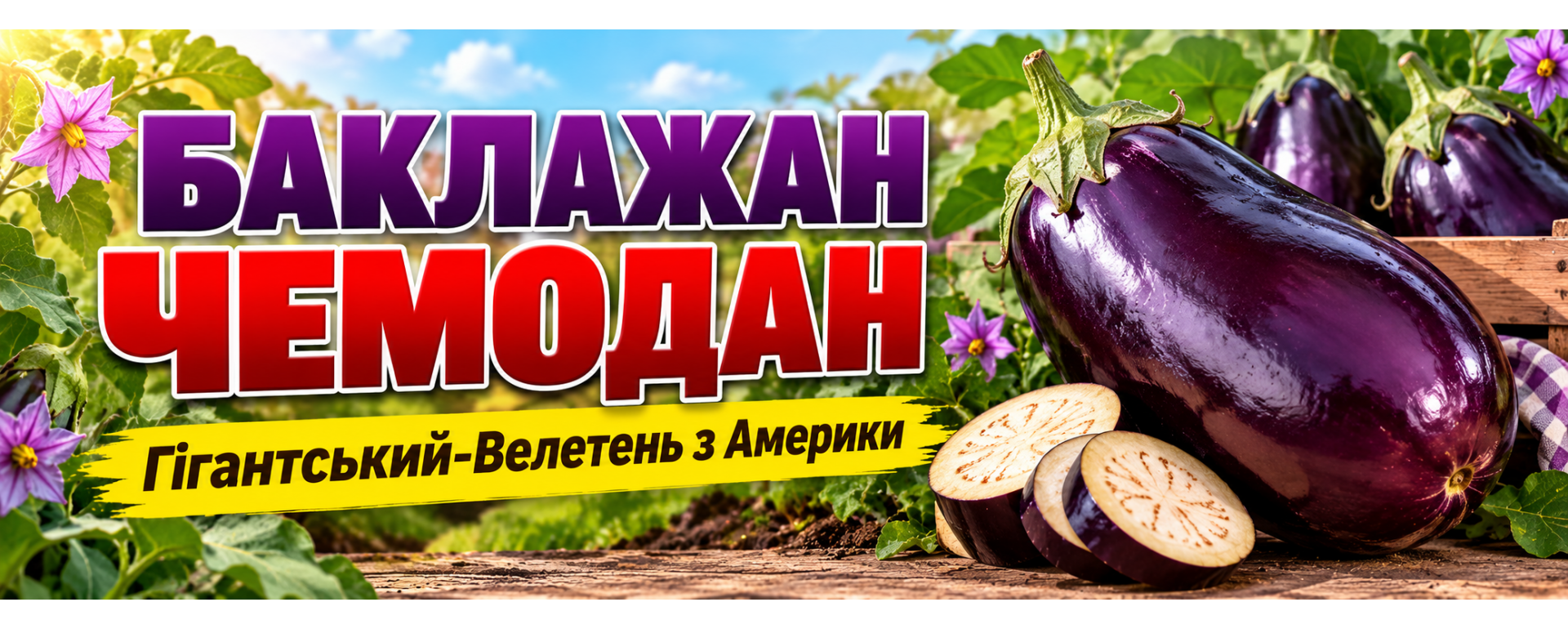 Баклажан