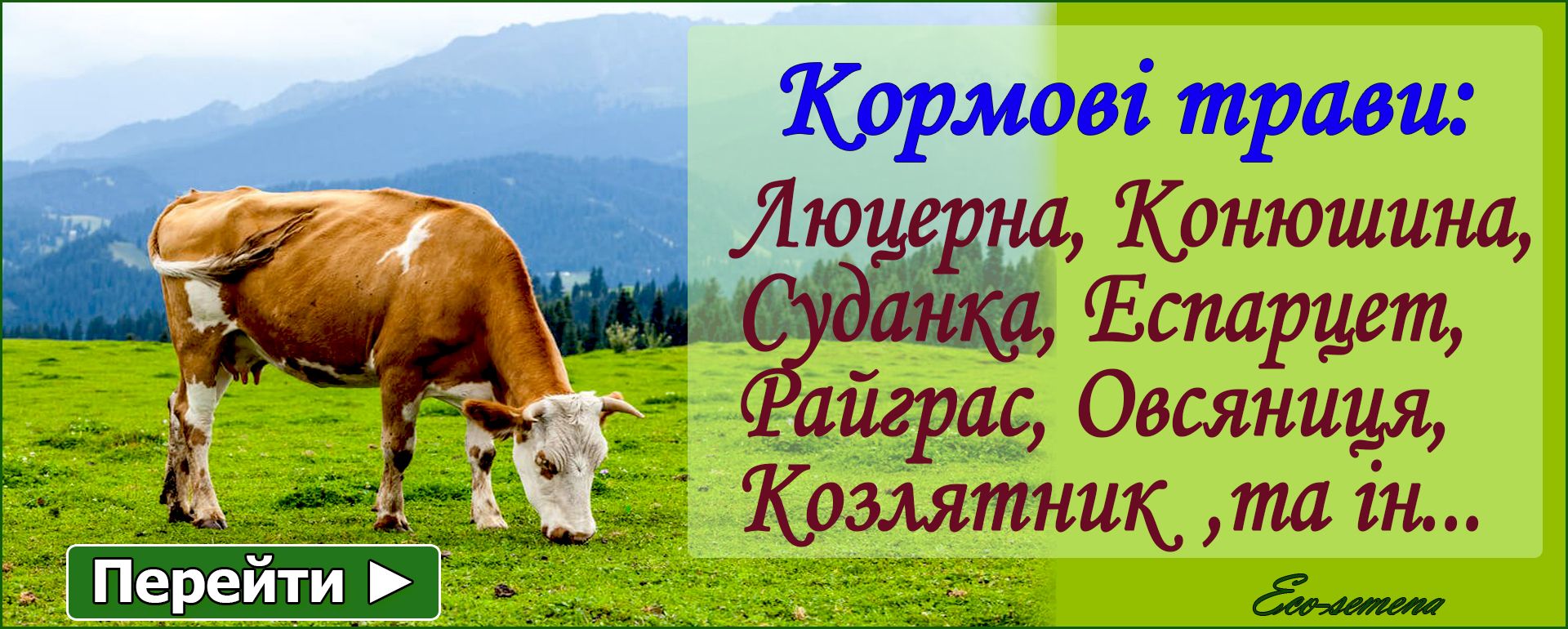 Насіння Трав