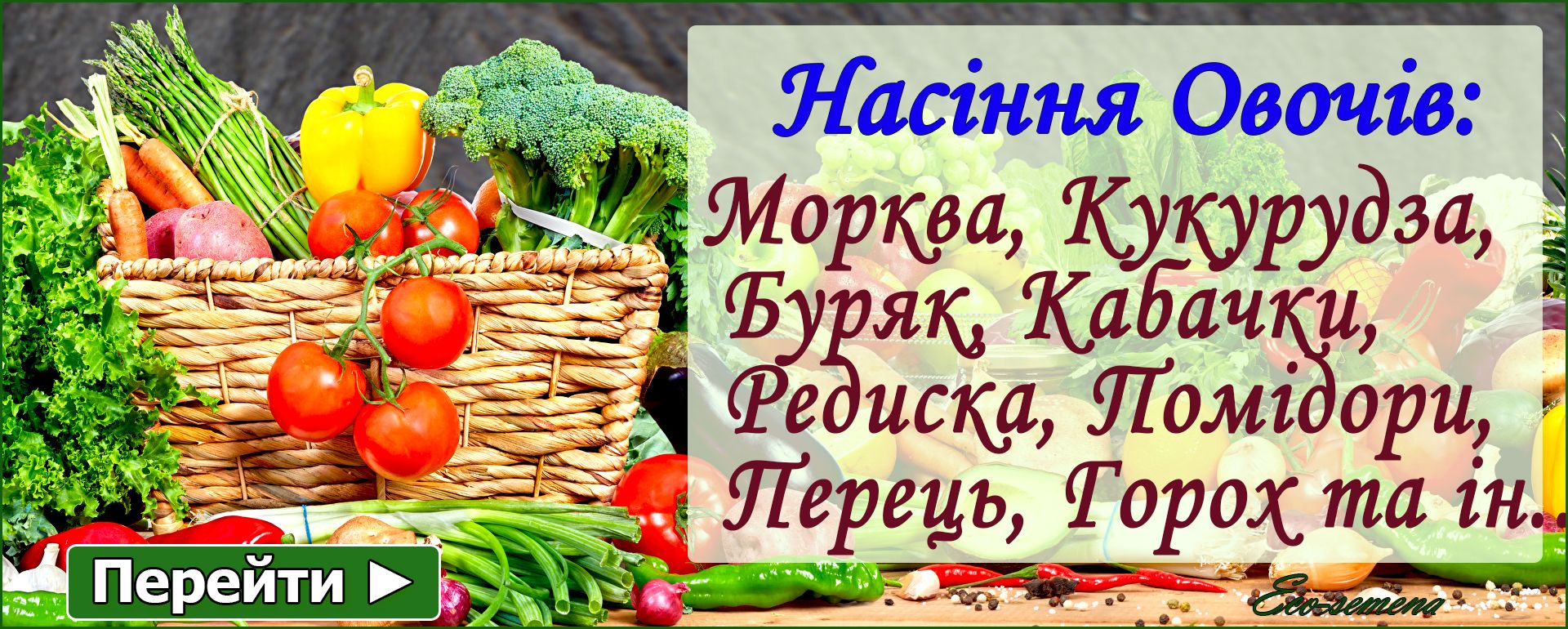 Насіння Овочів